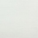 チタニウムホワイト 9号40ml クサカベ ミノー油絵具