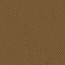 黒茶 白番 15g ビン入 ナカガワ 新岩絵具 NO.572