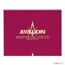 アヴァロン(スプリング) 中目 AVS-SM 中紙300g(中厚口) 12枚とじ