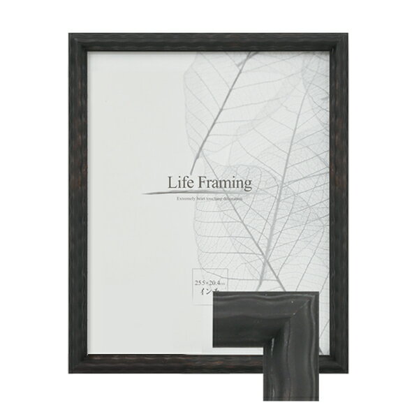 樹脂製デッサン額 SF150 ブラック色フレーム (アクリル付) 四切