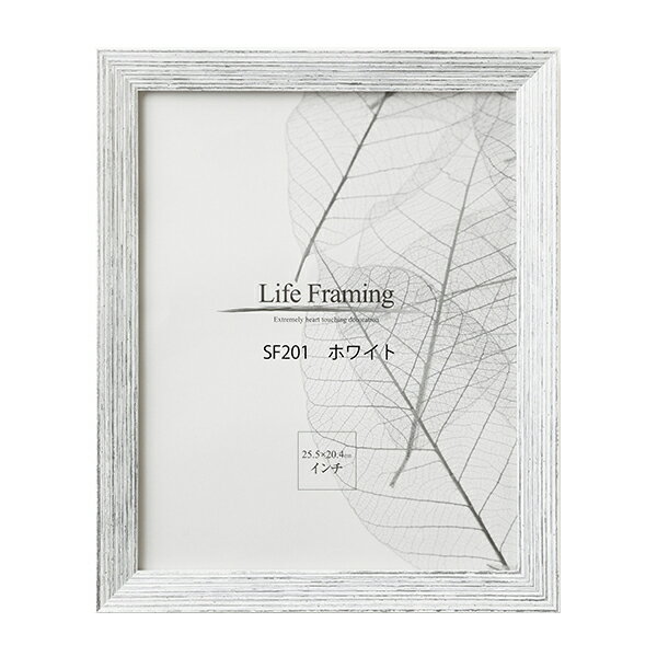 樹脂製デッサン額 SF201 ホワイト色フレーム (アクリル付) 半切
