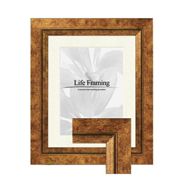 樹脂製デッサン額 SF400　金箔色フレーム（マット・アクリル付） 八切