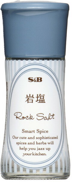 S＆B岩塩ロックソルト　　23g 1