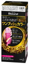 ワケあり!送料無料【パッケージ汚れ】ブローネワンプッシュカラー5 80g