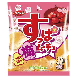 すっぱムーチョチップスさっぱり梅味（55g）