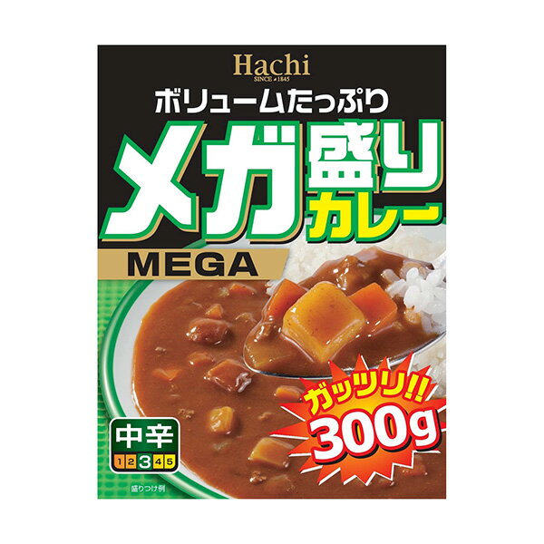 メガ盛カレー中辛　　300g