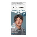 ルシード デザインヘアカラー クールアッシュ (医薬部外品)(2剤式)