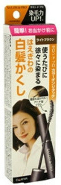 サロンドプロカラーオンリタッチ白髪かくしEXRBR 15ml