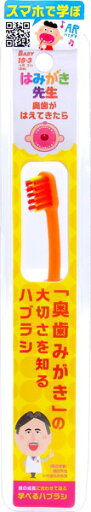 はみがき先生ベビー奥歯が磨きやすいハブラシ 1本 はみがき先生ベビー奥歯が磨きやすいハブラシ 1本