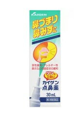 送料無料【第2類医薬品】□カイゲン点鼻薬　　30ml×10個セット