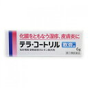 【第(2)類医薬品】テラ・コートリル軟膏a(6g)