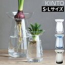 花瓶 ガラス キントー KINTO AQUA CULTURE VASE アクアカルチャー ベース S L ミニサイズ ミニ フラワーベース 一輪挿し ドライフラワー 枝物 置き 水耕栽培 ヒヤシンス 多肉植物 サボテン クリア 北欧 シンプル おしゃれ 