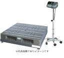 (大型)A&D SN-600K パレット一体型台はかり ひょう量:600kg 目量:0.1kg(0〜300kg)、0.2kg(300〜600kg)