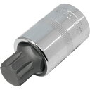 アストロプロダクツ 2002000026798 1/2DR トリプルスクエアビットソケット M16