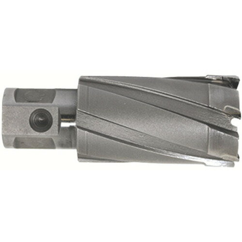 育良精機 CCSQ350 ライトボーラー用替刃(超硬刃)(51032)