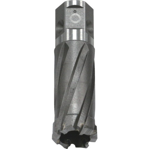 育良精機 ISK-BUC220 ボアアップカッター(51170)