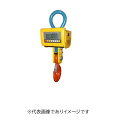 (大型)JFEアドバンテック ATHW2-20MP 20T クレーンスケール 検定付 手元表示器なし ひょう量:20t 目量:20kg
