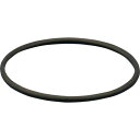 柴田科学 054330-3601 Oリング パーフロ CP-300型300℃タイプ用 φ47