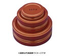 新光電子 M2DF-100G 円盤分銅 鉄塗装 100g M2級 (3級)