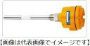 (直送)東和制電工業 TSA-A2SA-025 静電容量式レベルスイッチ 取付サイズ:R3/4