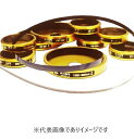 ファーステック PM12SS パイテープ 3300-3600mm 外径用 716ステンレス鋼