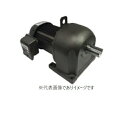 (大型)三菱電機 GM-DP 0.75kW 4P 1/30 ギヤードモータ 200/220V 30KG 脚取付 平行軸 屋内形