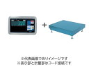 (大型)大和製衡 DP-5601A-600F-2 デジタル台はかり 600kg 検定付(4)