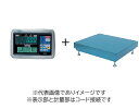 (大型)大和製衡 DP-5602A-1200G-2 デジタル台はかり 1200kg 検定付