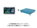 (大型)大和製衡 DP-5602A-300F デジタル台はかり 300kg 検定付