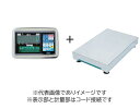 (大型)大和製衡 DP-5602C-300D デジタル台はかり 300kg 検定なし