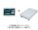 (大型)大和製衡 DP-5604A-300D デジタル台はかり 300kg 検定付