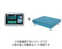 (大型)大和製衡 DP-5604D-300F デジタル台はかり 300kg 検定付
