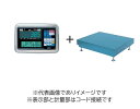 (大型)大和製衡 DP-5605A-1200F-5 デジタル台はかり 1200kg 検定付