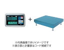 (大型)大和製衡 DP-5609A-1200G-2 デジタル台はかり 1200kg 検定付
