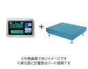 (大型)大和製衡 DP-5609D-300F デジタル台はかり 300kg 検定付
