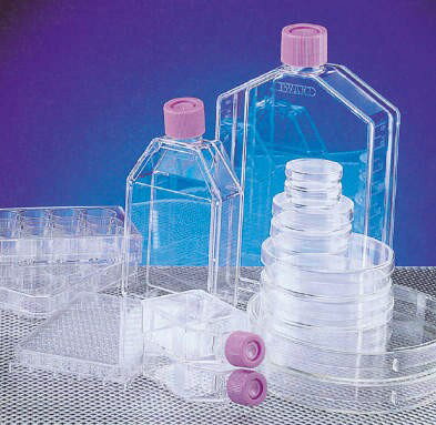 IWAKI ファイブロネクチンコートDISH 4020-031 40入