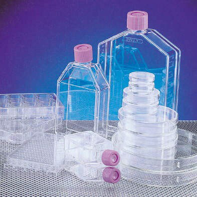 IWAKI ポリ-L-リジンコートDISH 4020-040 120入