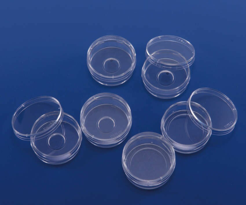 IWAKI ガラスベースディッシュ 3911-035 50個入(4.0)