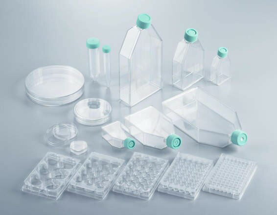 Thermo Fisher Scient BioLite 6 well Multidish 130184 50入
