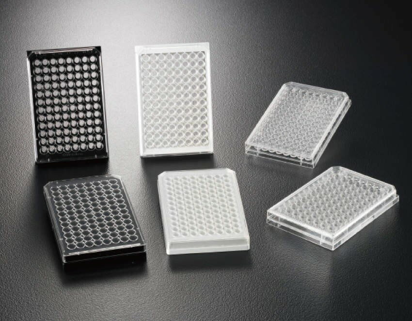 ファルコン プレート No.353910 50入