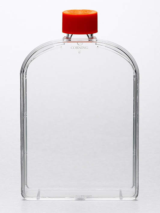CORNING No.431080 細胞培養フラスコ 50入 培養面積=175cm2 ベント アングル