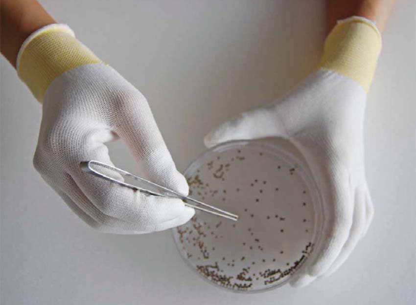 �ȥåץե��åȼ��� �������� B0601 S 1�С�10��