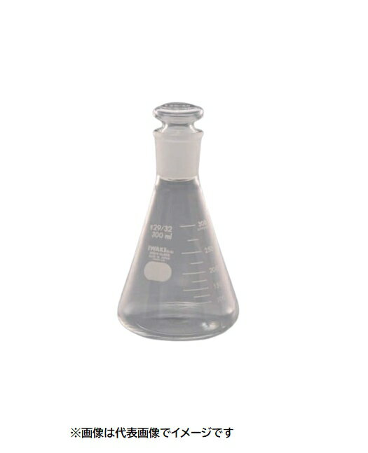 IWAKI 5021FK50-19 共通摺合せ共栓三角フラスコ