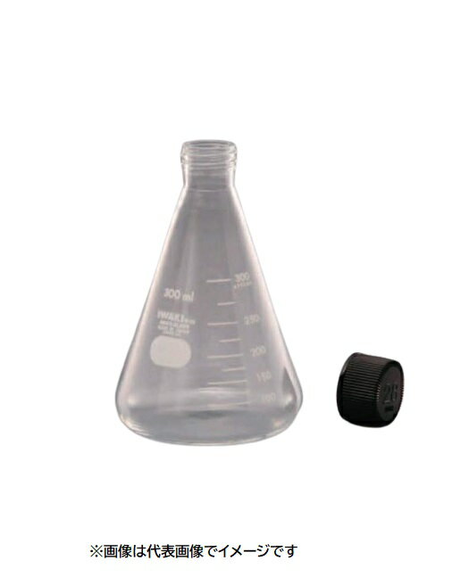 IWAKI 4985FK500-33 ネジ付三角フラスコ