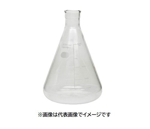 HARIO 82-0152 5000ml ハリオ 三角フラスコ