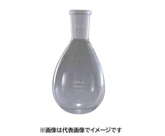 IWAKI 共通摺合せナス型フラスコ NASUGJ-FK50-24