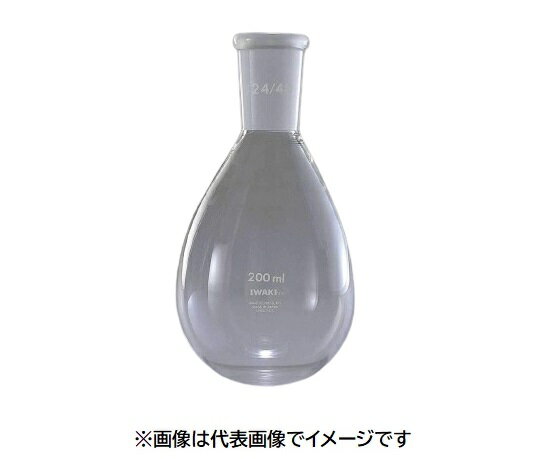 IWAKI 共通摺合せナス型フラスコ NASUGJ-FK200-19