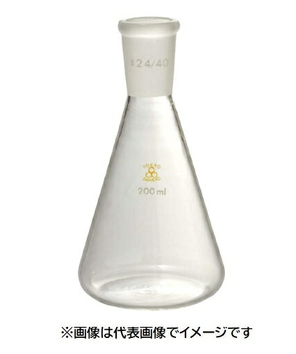 ������ �������礻���ѥե饹�� 300mL 29/42