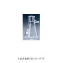 IWAKI 濾過フラスコ 100ml 5340FK100(4)