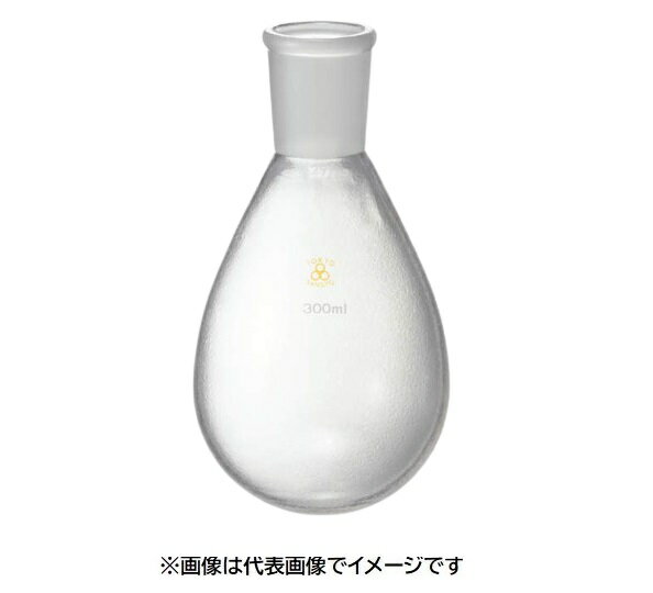 三商 共通摺合ナス型フラスコ ETFEコート500mL 29/42